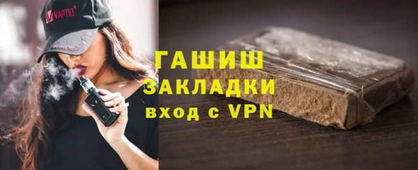 дмт Бородино