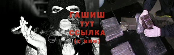 дмт Бородино