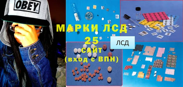 дмт Бородино