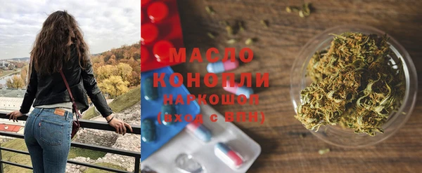 дмт Бородино