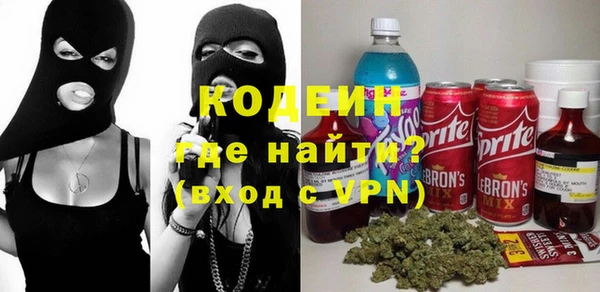 дмт Бородино