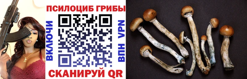 Псилоцибиновые грибы ЛСД  наркота  Сретенск 